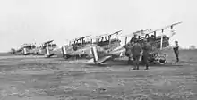 Photographie noir et blanc de cinq biplans alignés.