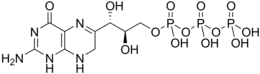 Image illustrative de l’article 7,8-Dihydronéoptérine triphosphate