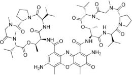 Image illustrative de l’article 7-Aminoactinomycine D