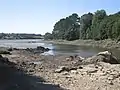 L'Aber Wrac'h à marée basse vu du Pont du diable (Pont Krac'h), vue vers l'aval.