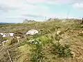 La lande près du sommet de Ty Coz (un des sommets des Montagnes Noires) 3.