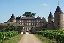 chateau de chasselas