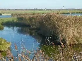 Le marais de Flandre et de la Cabane au Sud de Fouras avec les phares servant à guider les cargos pour l'entrée dans La Charente.