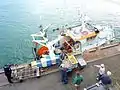 Guilvinec : déchargement du poisson et des langoustines pêchés par le chalutier Narval 2