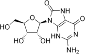 Image illustrative de l’article 8-Hydroxyguanosine