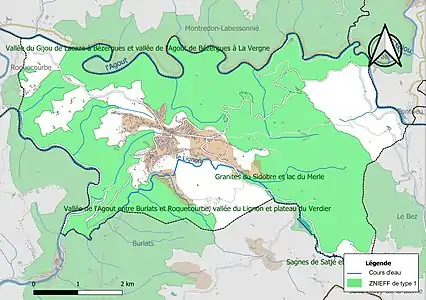 Carte des ZNIEFF de type 1 sur la commune.