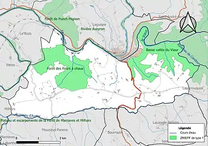 Carte des ZNIEFF de type 1 sur la commune.