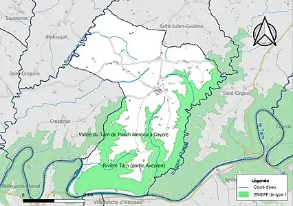 Carte des ZNIEFF de type 1 sur la commune.