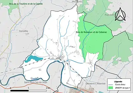 Carte de la ZNIEFF de type 1 sur la commune.