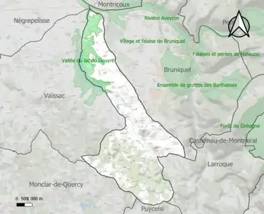 Carte de la ZNIEFF de type 1 sur la commune.