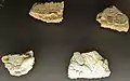 Fragments d'enduits peints avec incrustation de coquillages (villa de Kervenennec, probablement IIIe siècle après J.-C.).