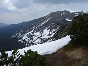 Vue de la Babia Góra depuis l'ouest.