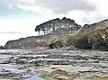 Les falaises entre la plage du Ris et celle de Trezmalaouen (vues de la plage découvrant seulement à marée basse) 3.