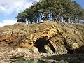 Les falaises entre la plage du Ris et celle de Trezmalaouen (vues de la plage découvrant seulement à marée basse) 6.