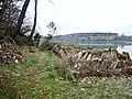 Tas d'anciennes tuiles ostréicoles sur un terre-plein le long de la rive droite de la Rivière du Bono.