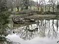 Épave dans le cimetière de bateaux de l'Anse du Govillo.