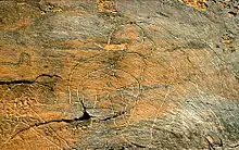 Pétroglyphe représentant une panthère et des éléphants, site d'Aïn safsafa, Algérie
