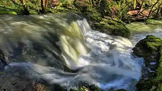 Les cuves de l'Audeux en fortes eaux à Aïssey.