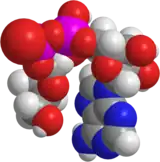 Image illustrative de l’article Adénosine diphosphate ribose