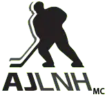 Le logo actuel de l'Association des joueurs de la LNH.