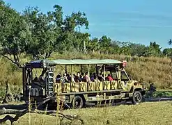 Kilimanjaro Safaris à Disney's Animal Kingdom