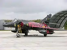 Un Super Étendard modernisé de la flottille 11F garé à Landivisiau, en 2008. L'appareil porte une livrée spéciale à l'occasion du NATO Tiger Meet.