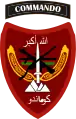 Insigne de la Brigade des commandos de l'Armée nationale afghane : le takbir y est inscrit au-dessus de l'épée.