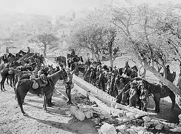 Cavaliers de l'ANZAC abreuvant leurs chevaux au mont Sion, 22 janvier 1918