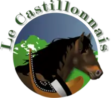 Logo représentant la tête d'un cheval bai de profil entouré d'un fond rond bleu et vert au-dessus duquel est marqué « le Castillonnais ».