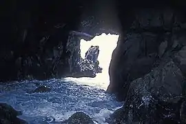 Grotte de Pfeiffer à Big Sur