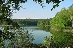 Image illustrative de l’article Forêt nationale d'Ouachita