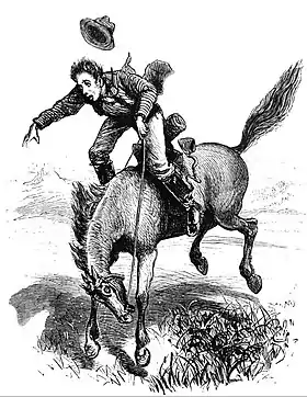 A bucking cayuse, gravure du Scribner’s Monthly, 1873