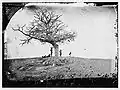 A Lonely Grave, soldats de l'Union près d'une tombe sur le champ de bataille d'Antietam, septembre 1862