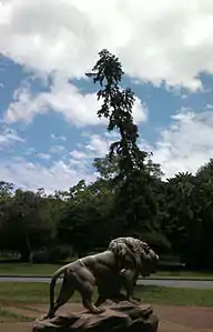 Lion, Ibirapuera, (Brésil), place du Lion.