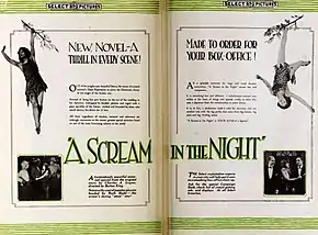 Description de l'image A Scream in the Night (1919) - 1.jpg.