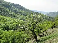 Paysage du massif.