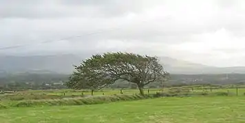 Photo prise près de l'aéroport de Caernarfon au Royaume-Uni