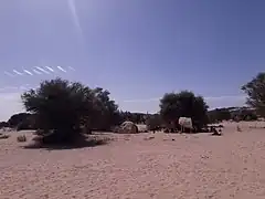 Camp de Touaregs dans l'Aïr (Niger) en février 2021.