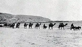 Caravane devant la baie de Haïfa en 1912