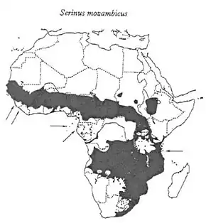 Description de l'image A mozambiki csicsörke elterjedési területe.jpg.