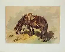 Dessin à l'encre d'un cheval marron et noir portant un harnachement et broutant l'herbe.