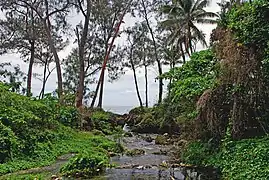 Un ruisseau à Éfaté.