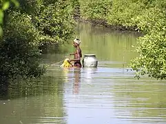 Un pêcheur traditionnel dans la mangrove.