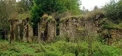 Vestiges du mur extérieur de l'église.