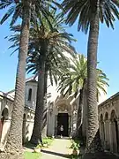 Vieux sujets à l'abbaye de Lérins sur l'île Saint-Honorat, France