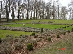 Lavandes marquant l’emplacement de l’église.