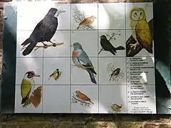 Les oiseaux du parc.