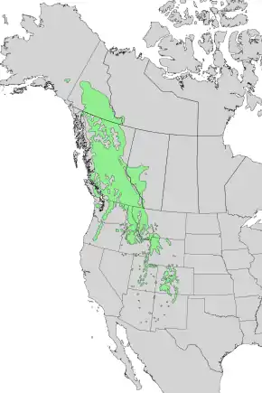 Description de l'image Abies lasiocarpa range map 3.png.