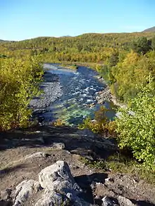 La rivière Abiskojåkka dans la forêt de bouleaux en automne