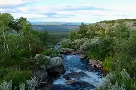 Ruisseau entouré de buissons avec une grande plaine boisée en contrebas.